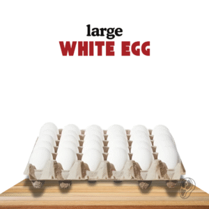 Large white Egg 30un